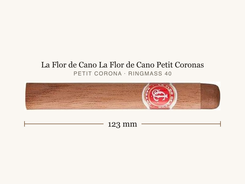 La Flor de Cano La Flor de Cano Petit Coronas, Maßangaben: Länge 123 mm, Ringmaß 40