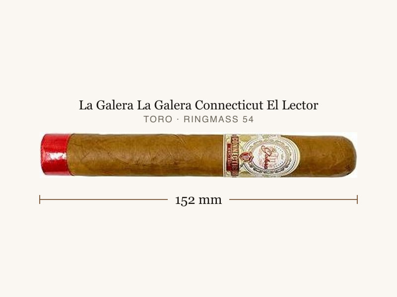 La Galera La Galera Connecticut El Lector, Maßangaben: Länge 152 mm, Ringmaß 54