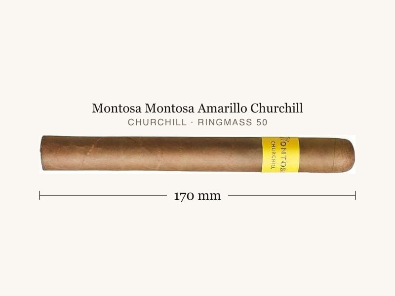 Montosa Montosa Amarillo Churchill, Maßangaben: Länge 170 mm, Ringmaß 50