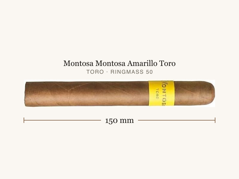 Montosa Montosa Amarillo Toro, Maßangaben: Länge 150 mm, Ringmaß 50
