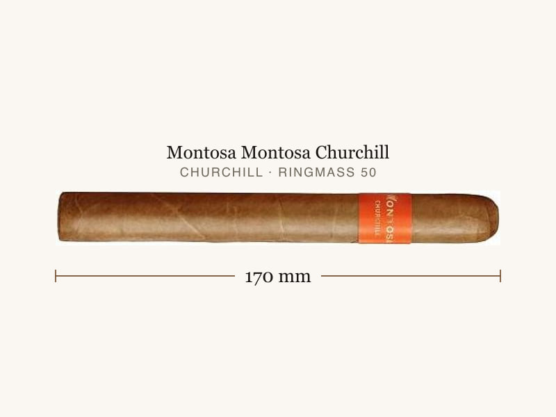 Montosa Montosa Churchill, Maßangaben: Länge 170 mm, Ringmaß 50