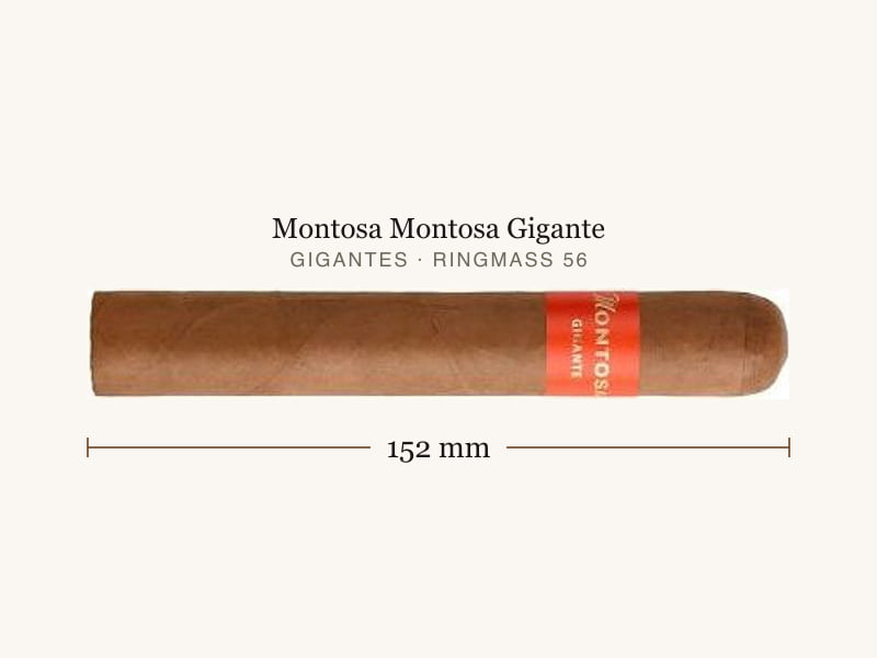 Montosa Montosa Gigante, Maßangaben: Länge 152 mm, Ringmaß 56