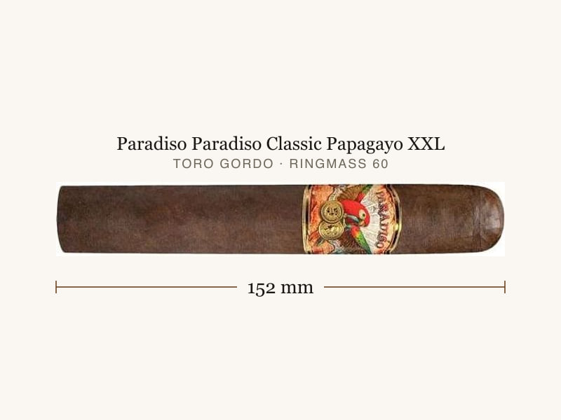 Paradiso Paradiso Classic Papagayo XXL, Maßangaben: Länge 152 mm, Ringmaß 60