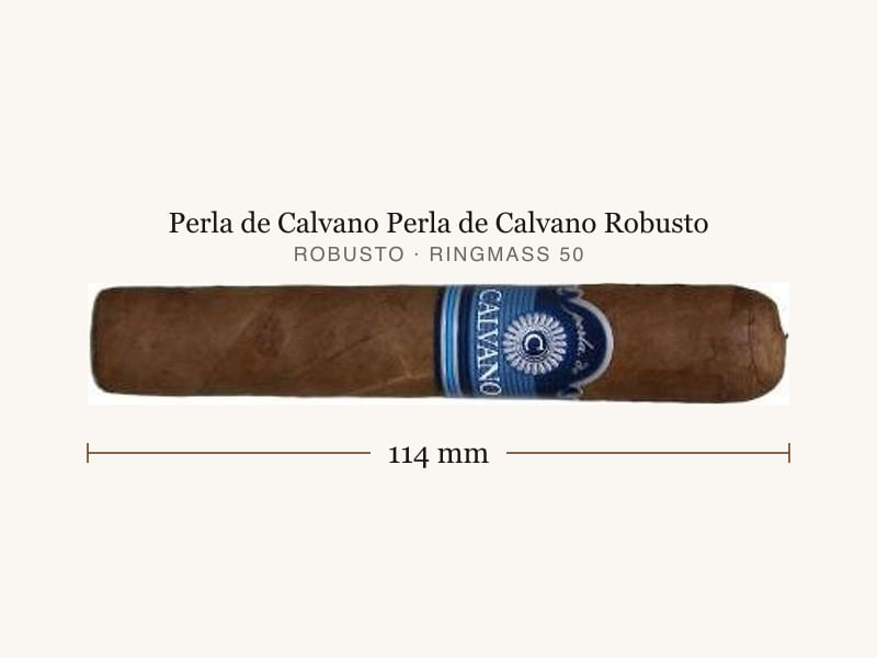 Perla de Calvano Perla de Calvano Robusto, Maßangaben: Länge 114 mm, Ringmaß 50