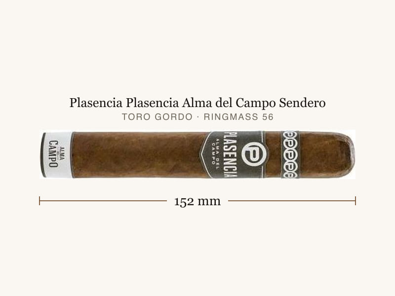 Plasencia Plasencia Alma del Campo Sendero, Maßangaben: Länge 152 mm, Ringmaß 56