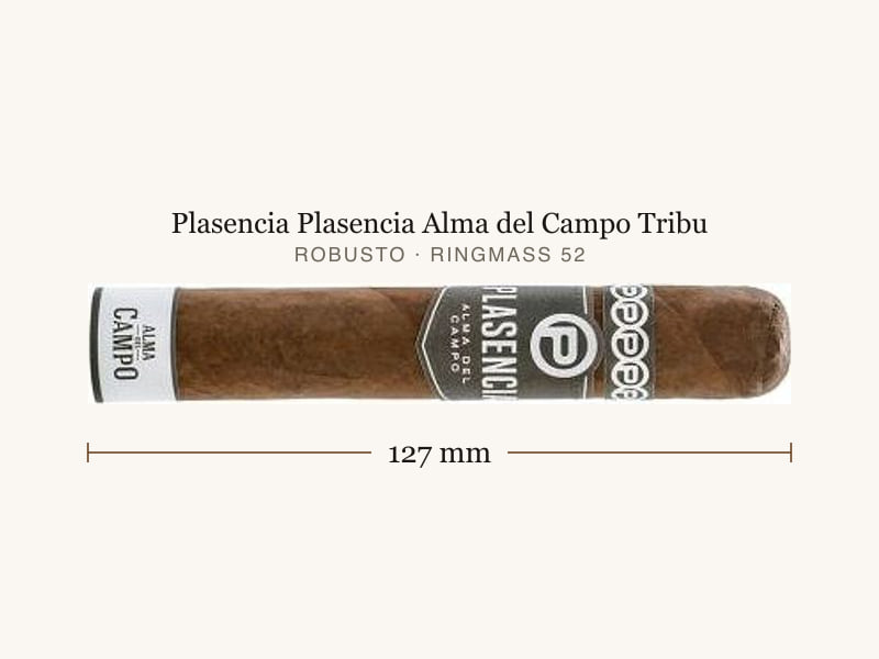 Plasencia Plasencia Alma del Campo Tribu, Maßangaben: Länge 127 mm, Ringmaß 52