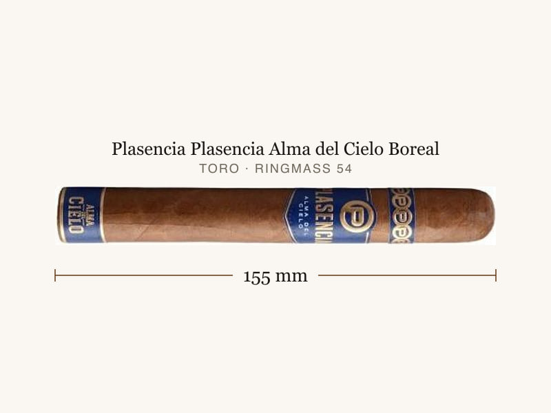 Plasencia Plasencia Alma del Cielo Boreal, Maßangaben: Länge 155 mm, Ringmaß 54
