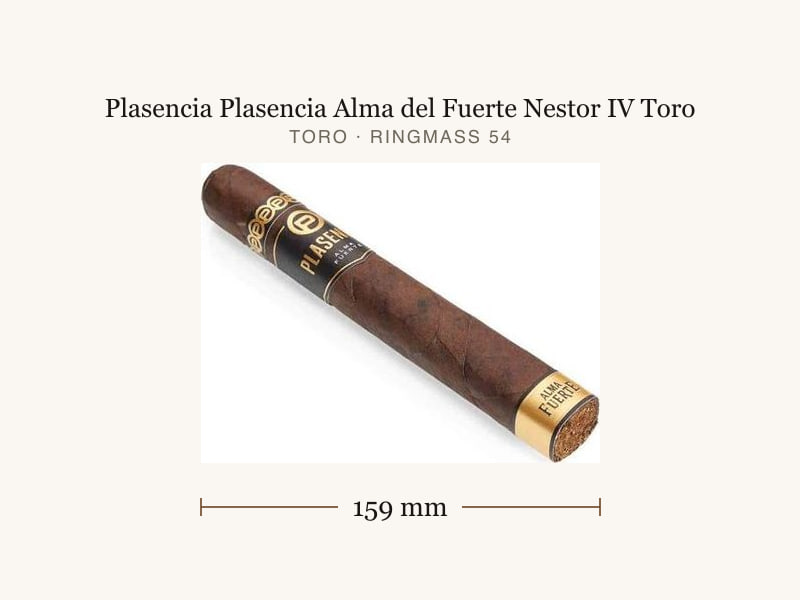 Plasencia Plasencia Alma del Fuerte Nestor IV Toro, Maßangaben: Länge 159 mm, Ringmaß 54