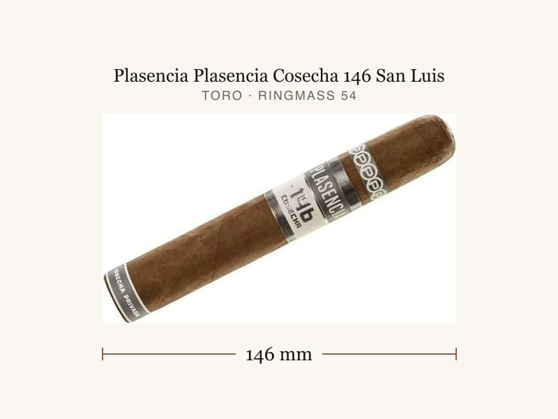Plasencia Plasencia Cosecha 146 San Luis, Maßangaben: Länge 146 mm, Ringmaß 54