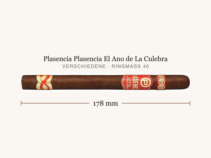 Plasencia Plasencia El Ano de La Culebra, Maßangaben: Länge 178 mm, Ringmaß 40