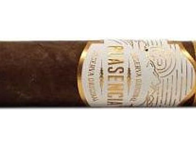 Plasencia Plasencia Reserva Original Robusto, Detailansicht