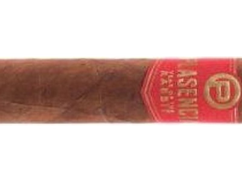 Plasencia Plasencia Year Of The Rabbit 2023 Toro, Detailansicht