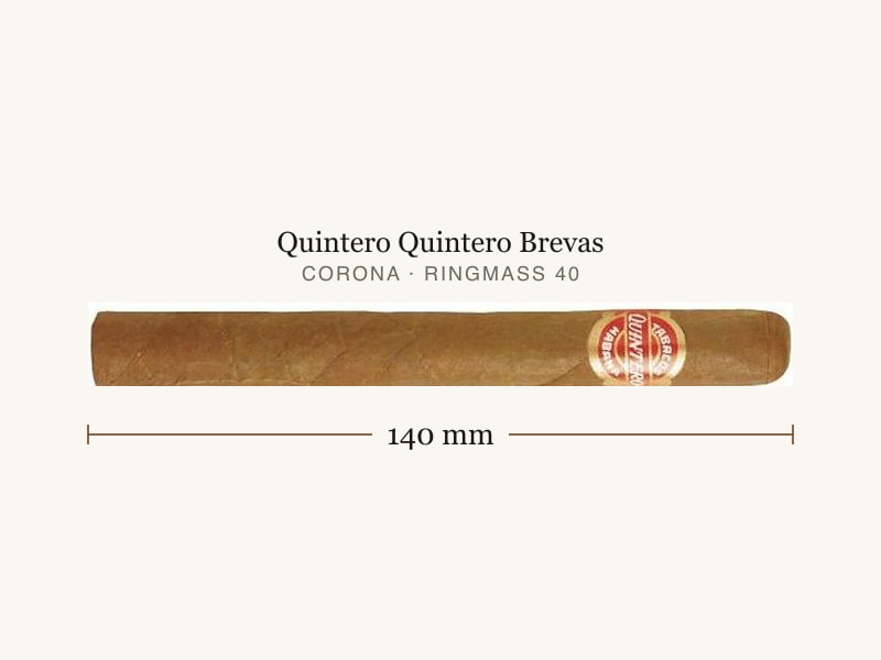 Quintero Quintero Brevas, Maßangaben: Länge 140 mm, Ringmaß 40