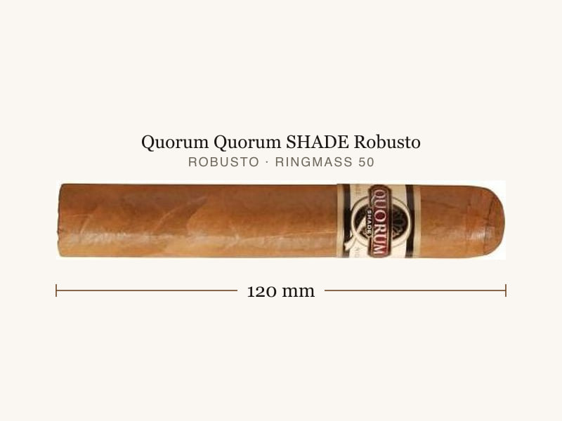 Quorum Quorum SHADE Robusto, Maßangaben: Länge 120 mm, Ringmaß 50