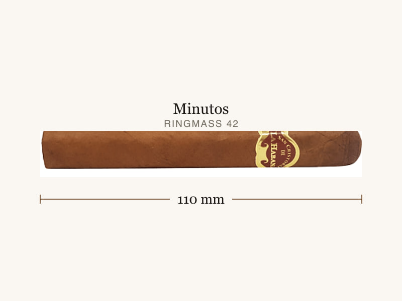 San Cristobal de La Habana San Cristobal de la Habana El Principe, Maßangaben: Länge 110 mm, Ringmaß 42