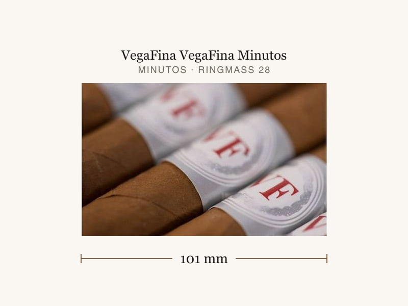 VegaFina VegaFina Minutos, Maßangaben: Länge 101 mm, Ringmaß 28