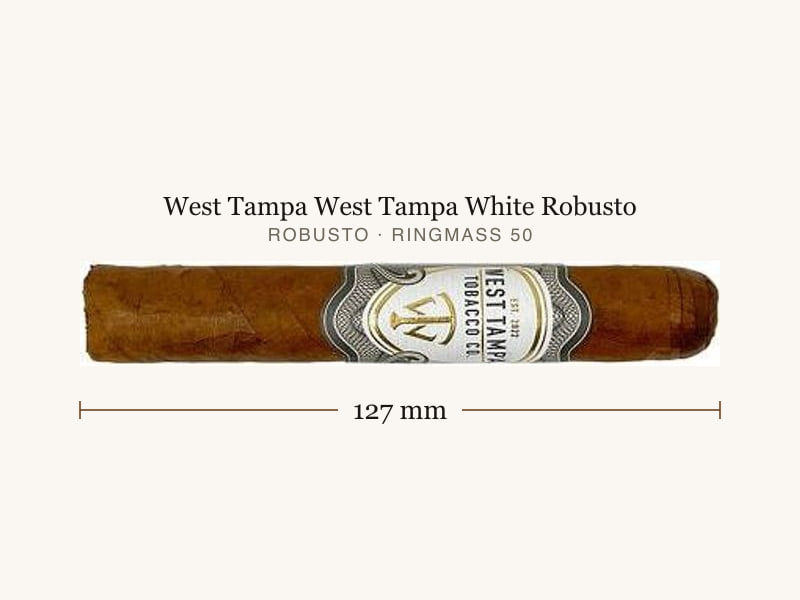 West Tampa West Tampa White Robusto, Maßangaben: Länge 127 mm, Ringmaß 50